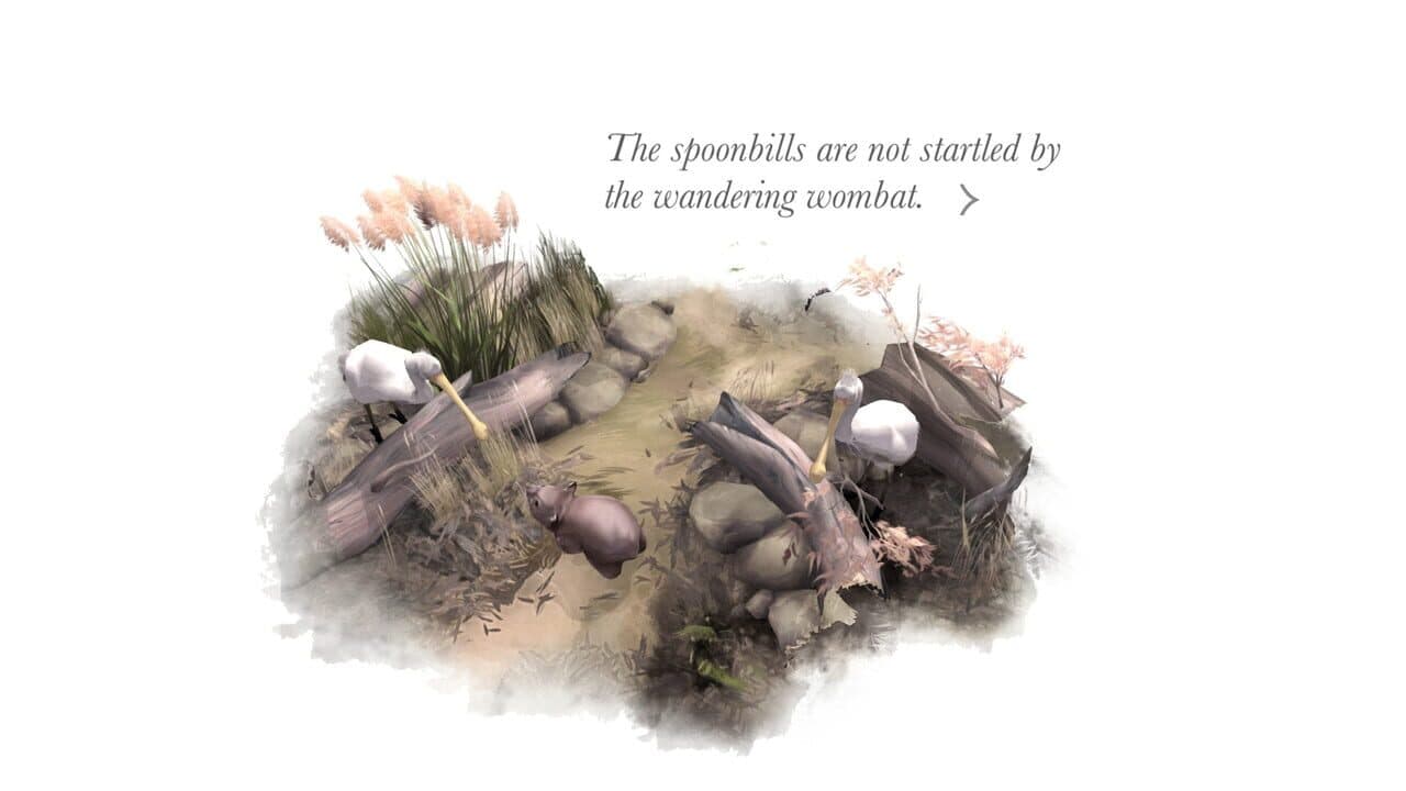 Paperbark thumbnail 4