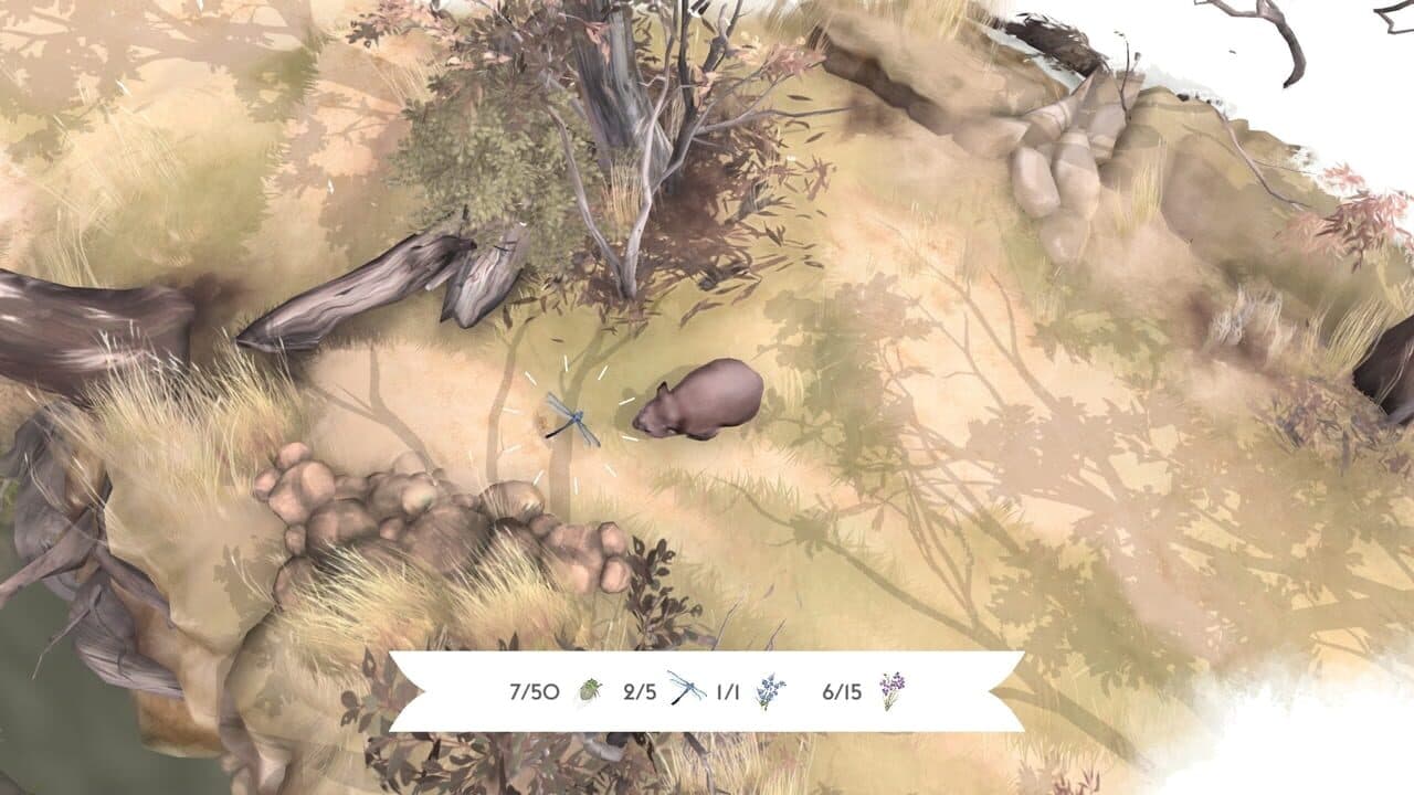 Paperbark thumbnail 3