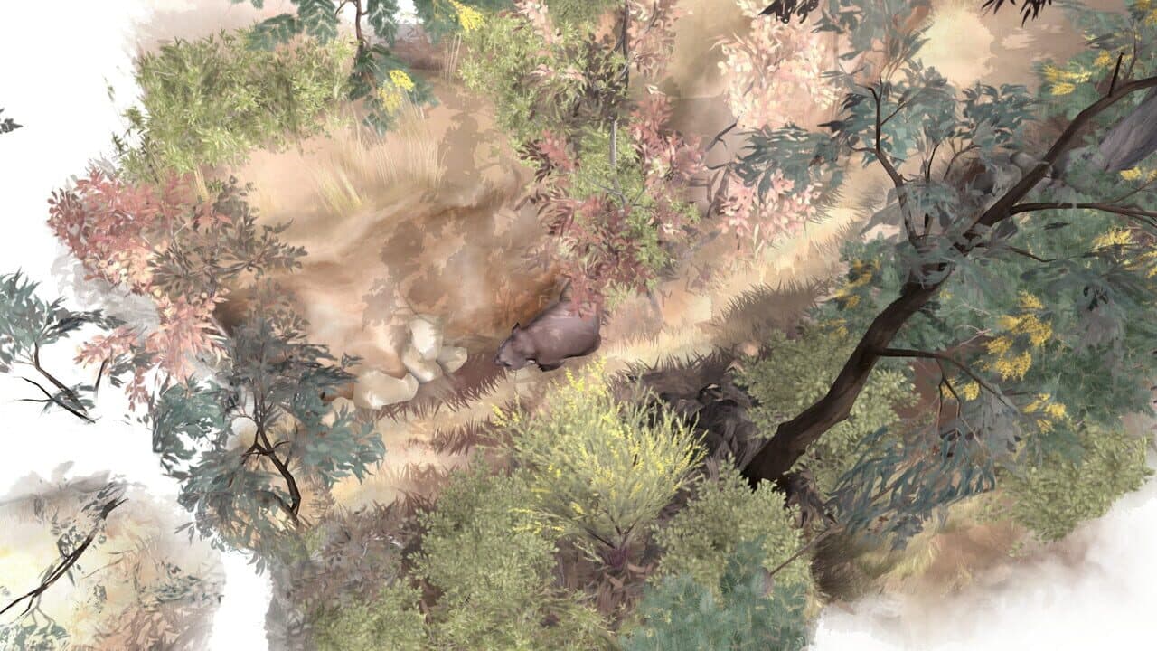 Paperbark thumbnail 7