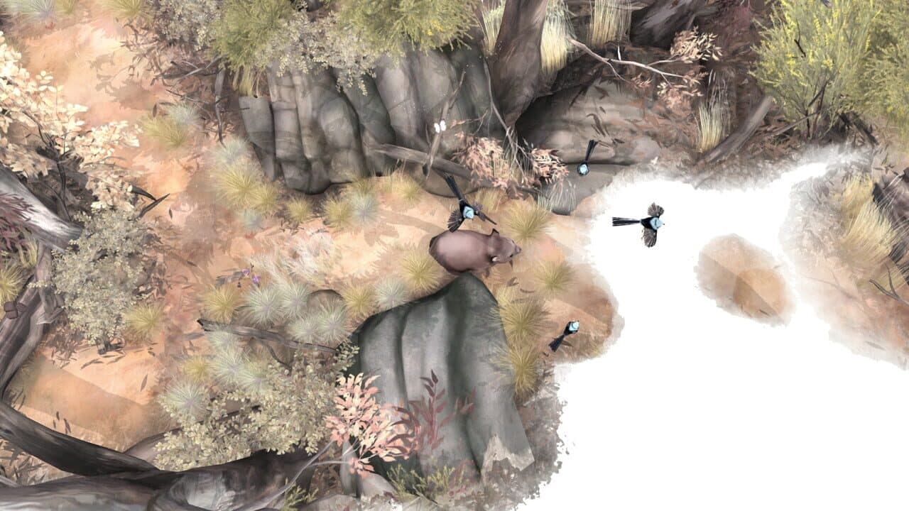 Paperbark thumbnail 6