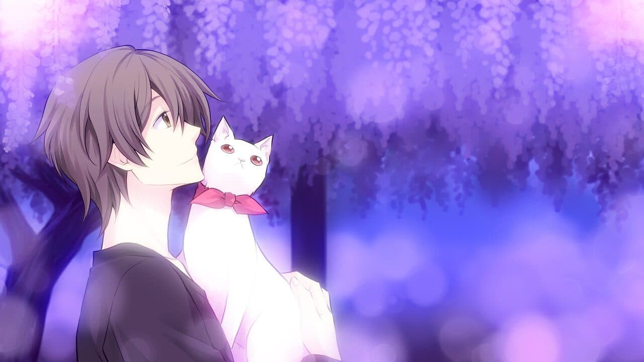 Kitty Love -Way to look for love- thumbnail 2