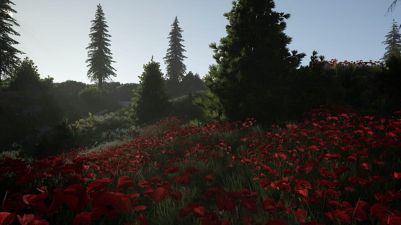 Aftermath 1945 thumbnail 5