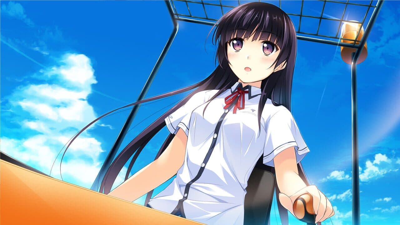 If My Heart Had Wings: Flight Diary thumbnail 2