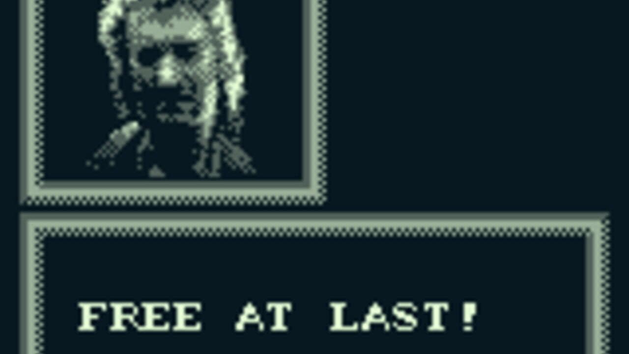 Robin Hood: Prince of Thieves screenshot 1