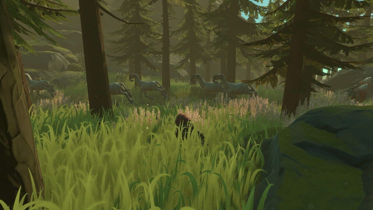 Pine thumbnail 4