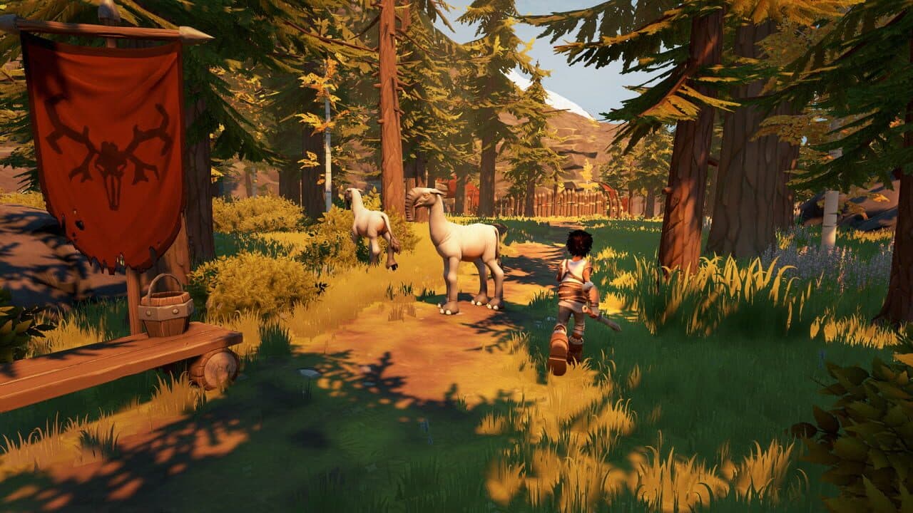 Pine thumbnail 7