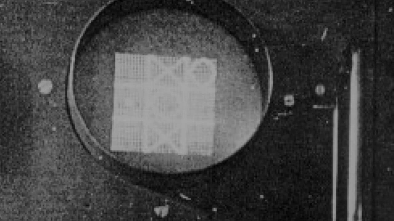 OXO screenshot 1