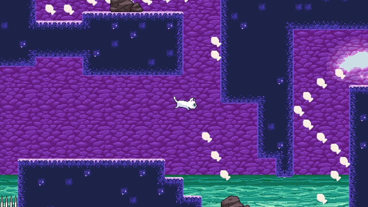 Bubbles the Cat thumbnail 2