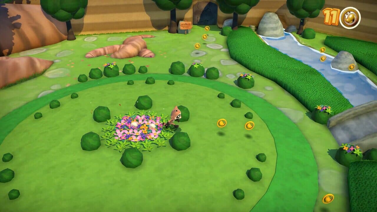 Raccoo Venture thumbnail 3