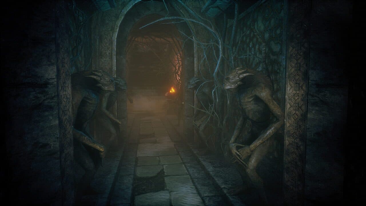 Conarium thumbnail 7