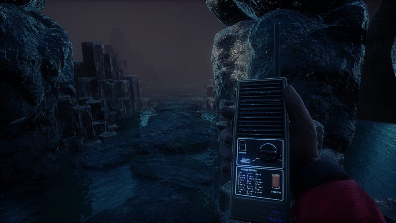 Conarium thumbnail 10