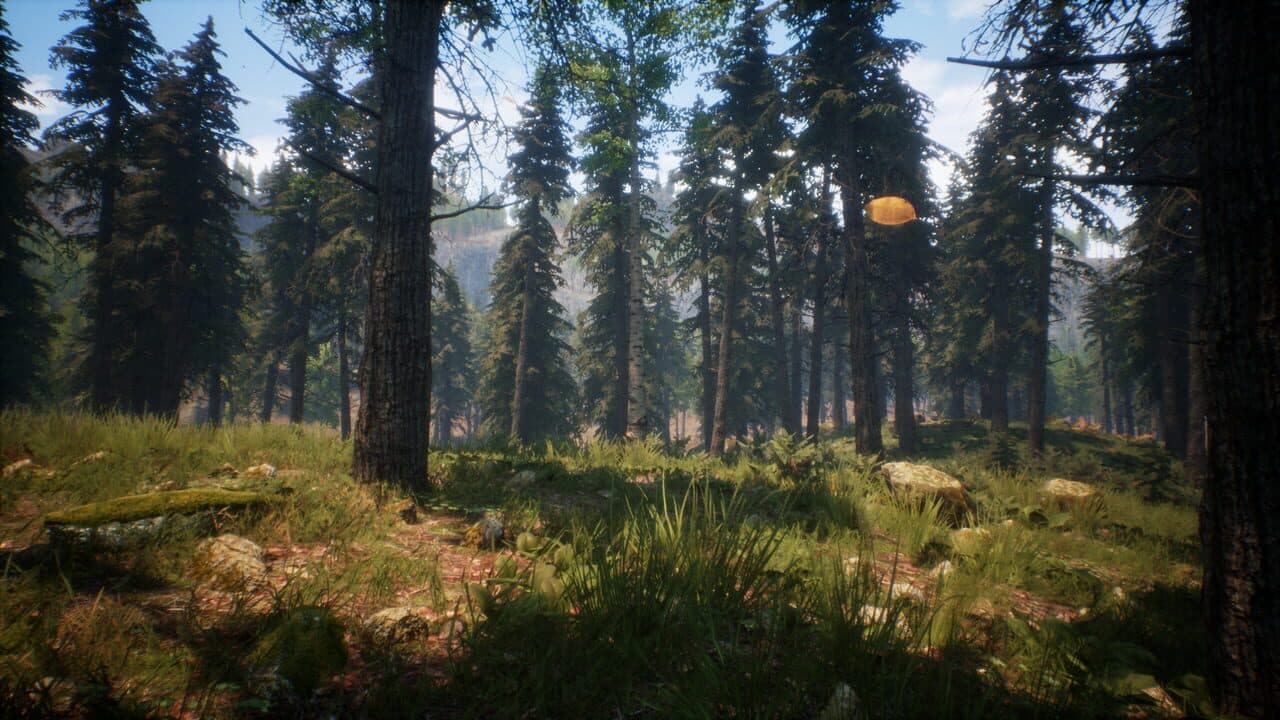 Light the Way thumbnail 2
