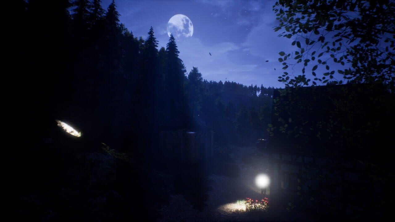 Light the Way thumbnail 6