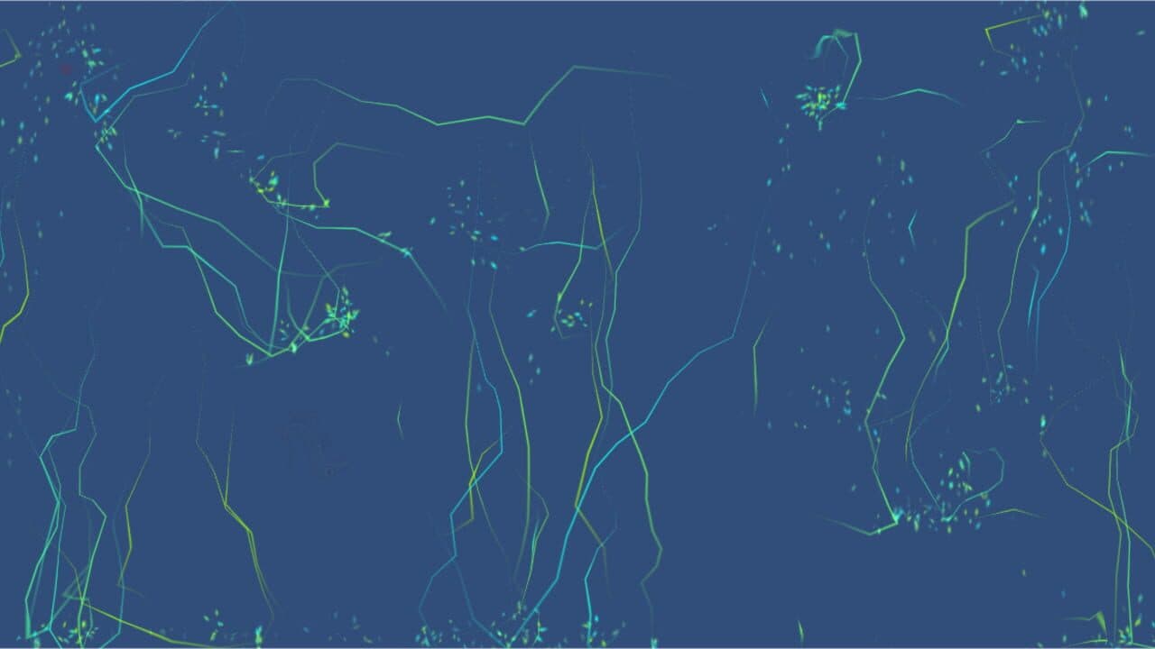 Data thumbnail 4