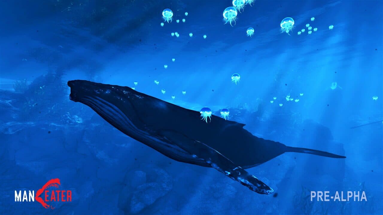 Maneater thumbnail 8