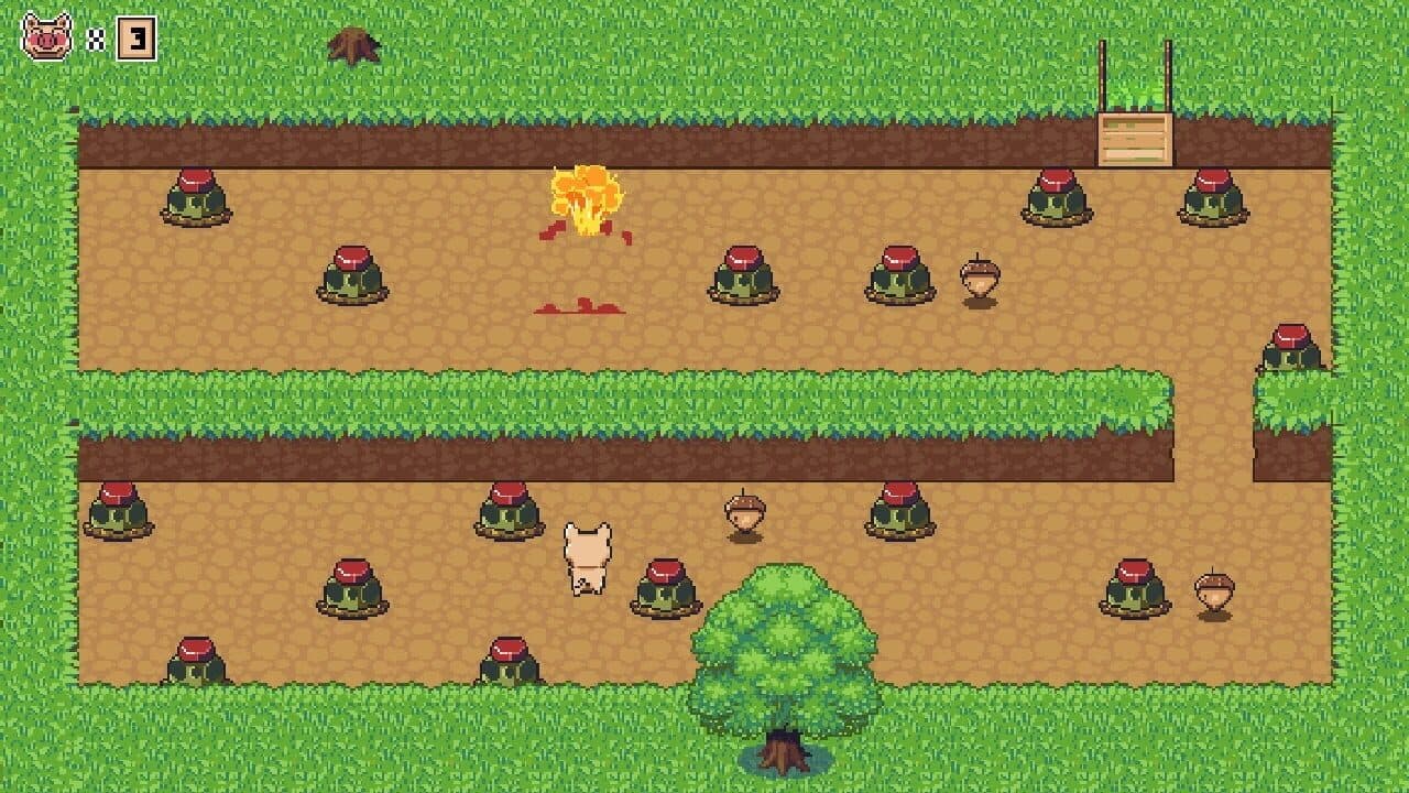 Sly Pigs thumbnail 5