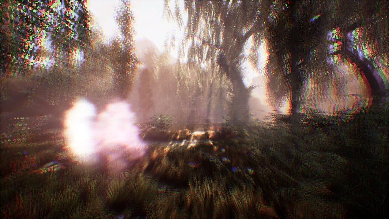 The Dead Tree of Ranchiuna thumbnail 3