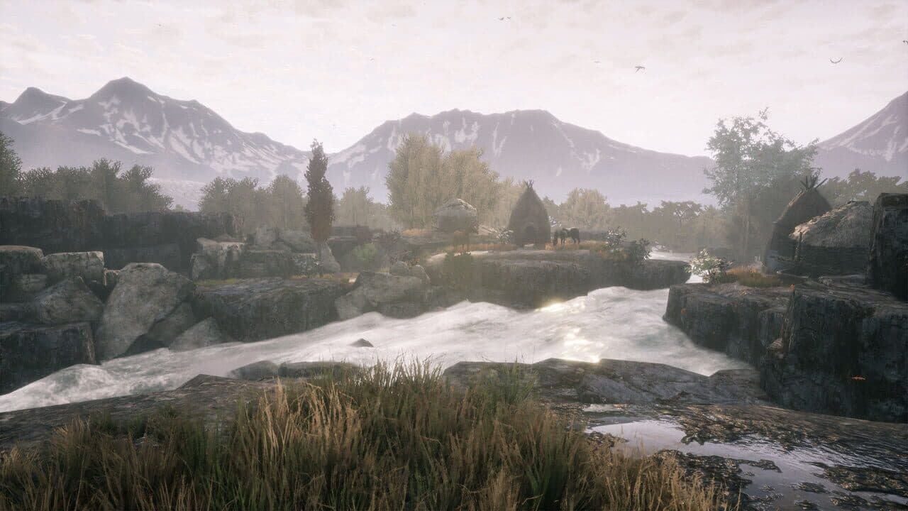 The Dead Tree of Ranchiuna thumbnail 4