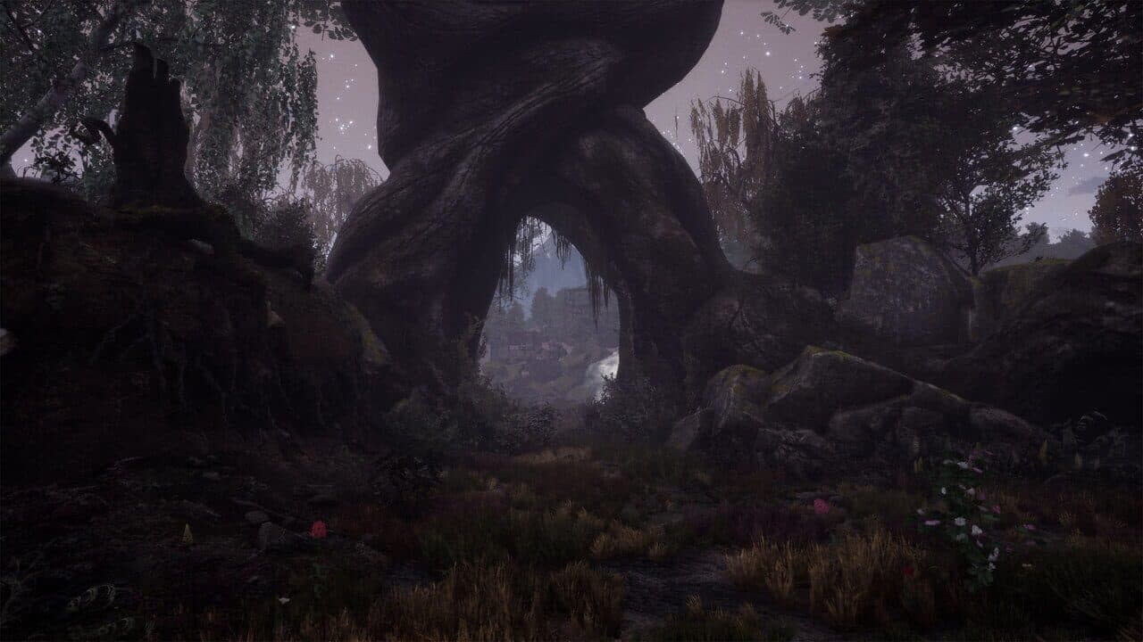 The Dead Tree of Ranchiuna thumbnail 6