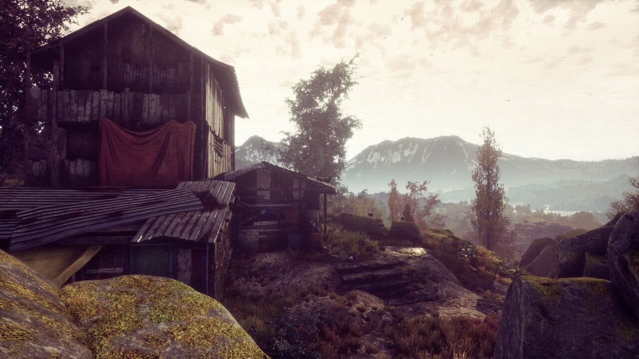 The Dead Tree of Ranchiuna thumbnail 5