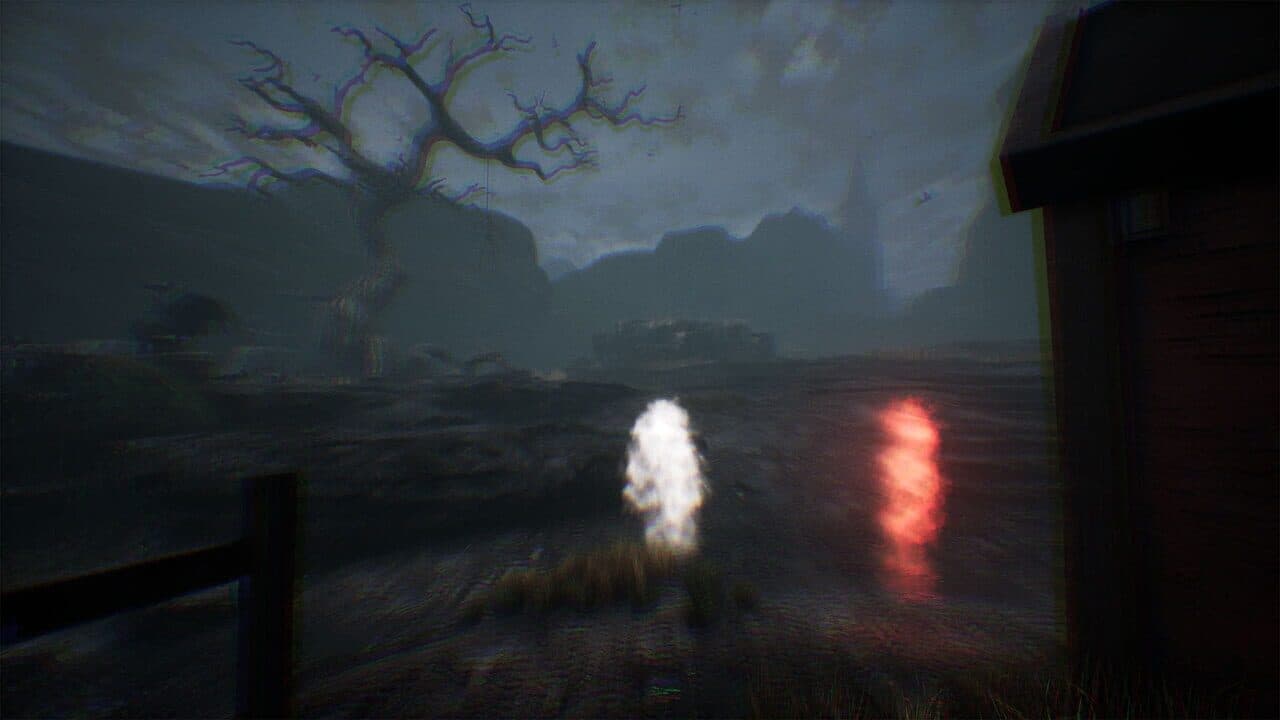 The Dead Tree of Ranchiuna thumbnail 7