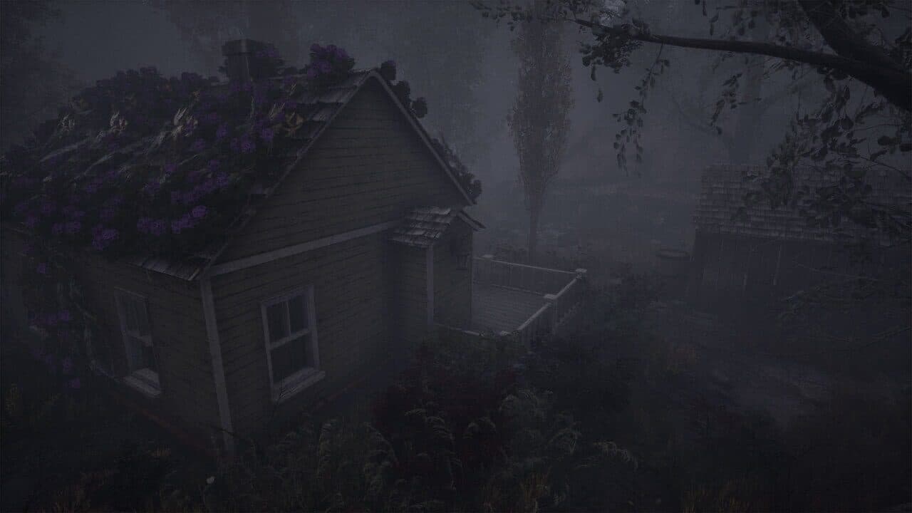 The Dead Tree of Ranchiuna thumbnail 9