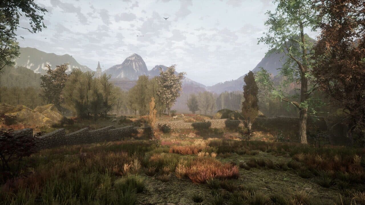 The Dead Tree of Ranchiuna thumbnail 2