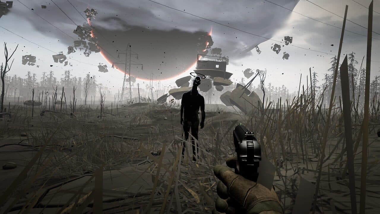 Into the Radius thumbnail 2