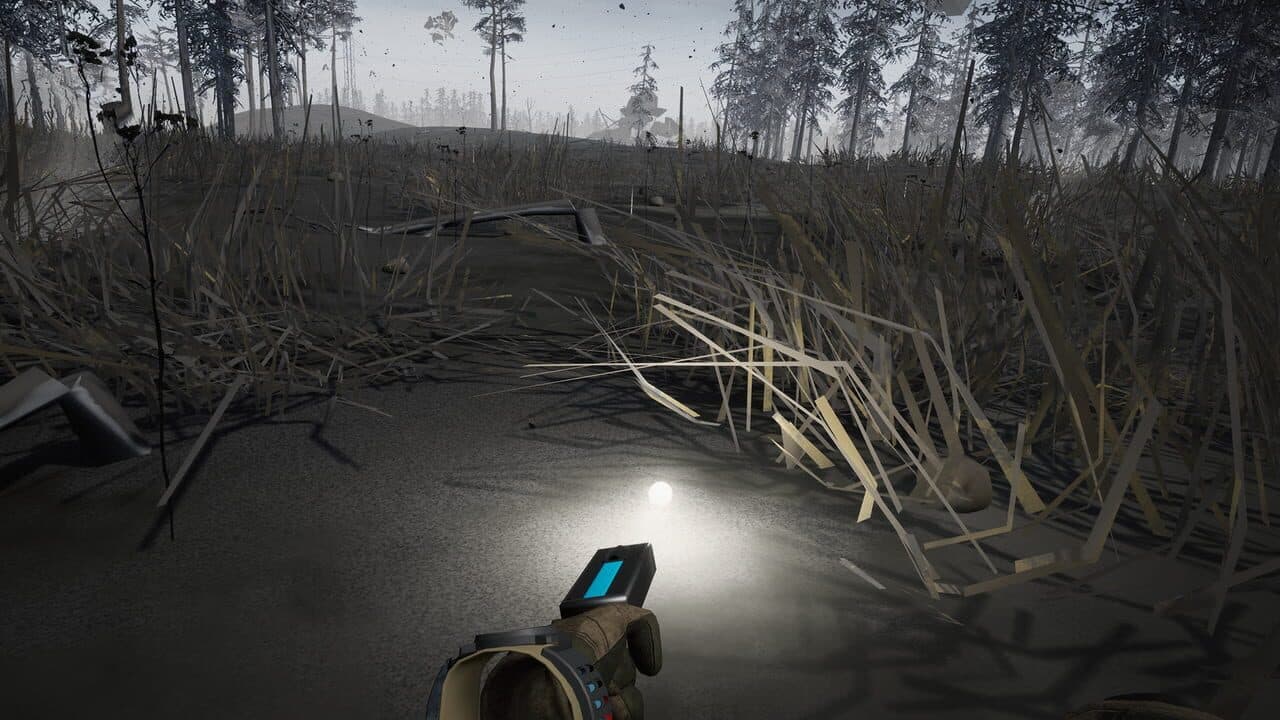 Into the Radius thumbnail 6
