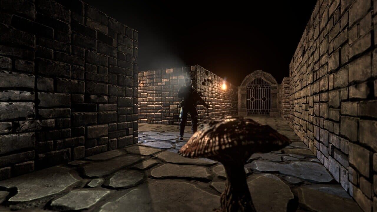The Dungeon Paradox thumbnail 8
