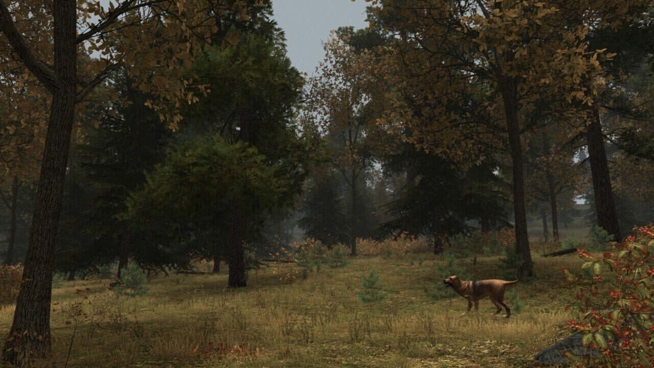 Walden, a game thumbnail 7