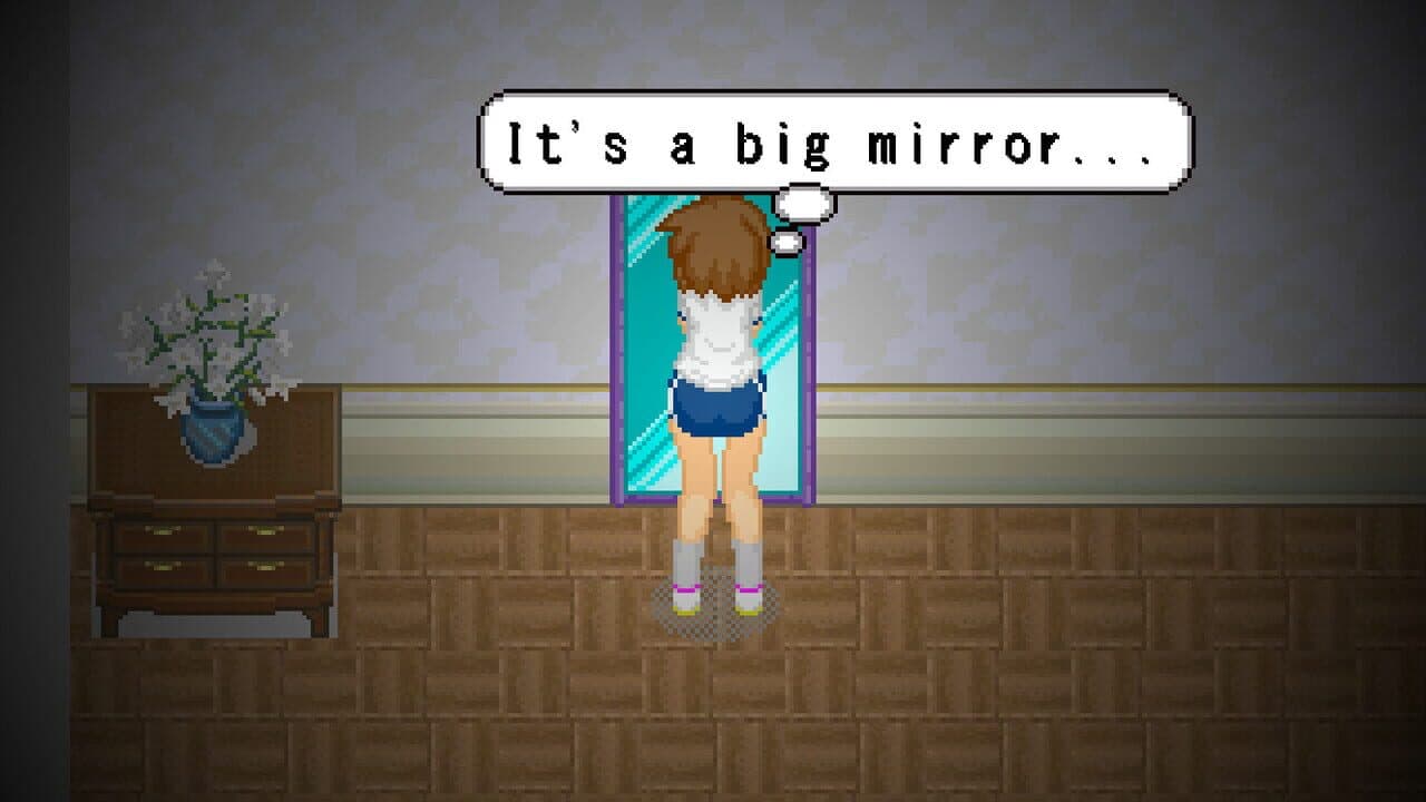 Alternate DiMansion Diary screenshot 1
