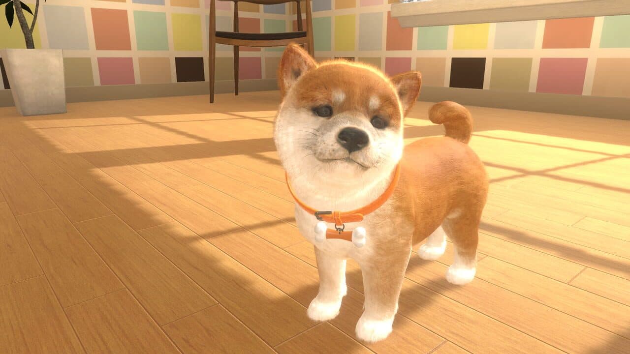Little Friends: Dogs & Cats thumbnail 5