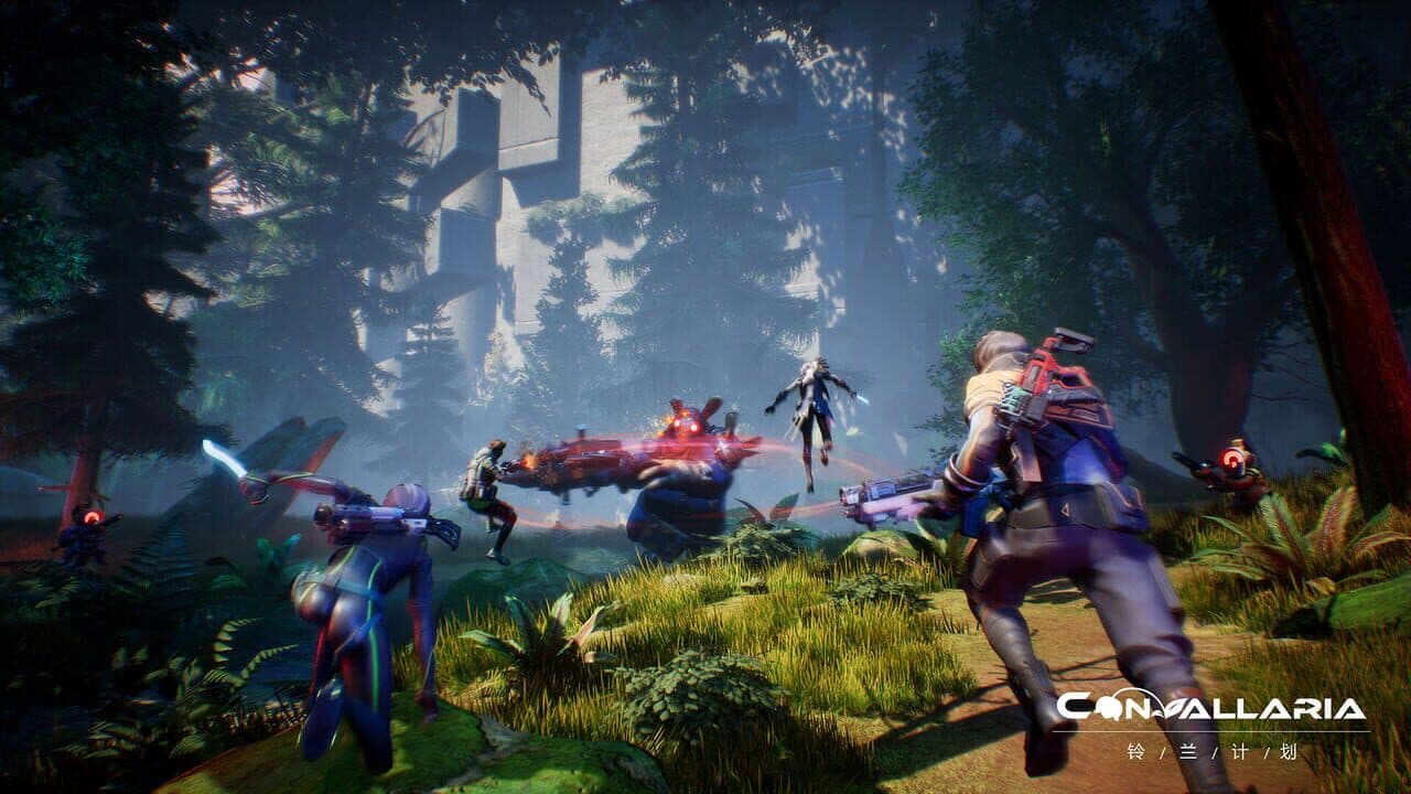 Convallaria thumbnail 4