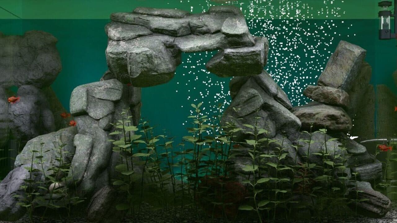 Biotope: Aquarium Simulator thumbnail 2