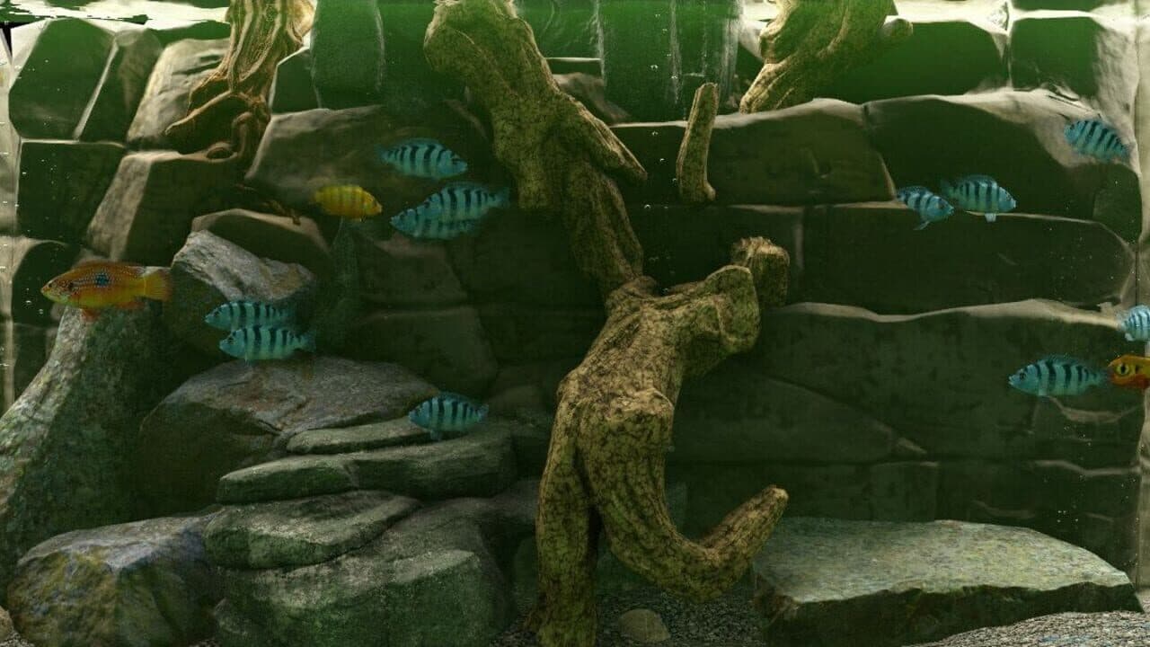 Biotope: Aquarium Simulator thumbnail 4