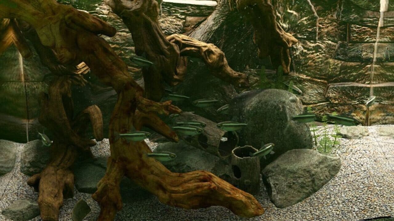 Biotope: Aquarium Simulator thumbnail 3