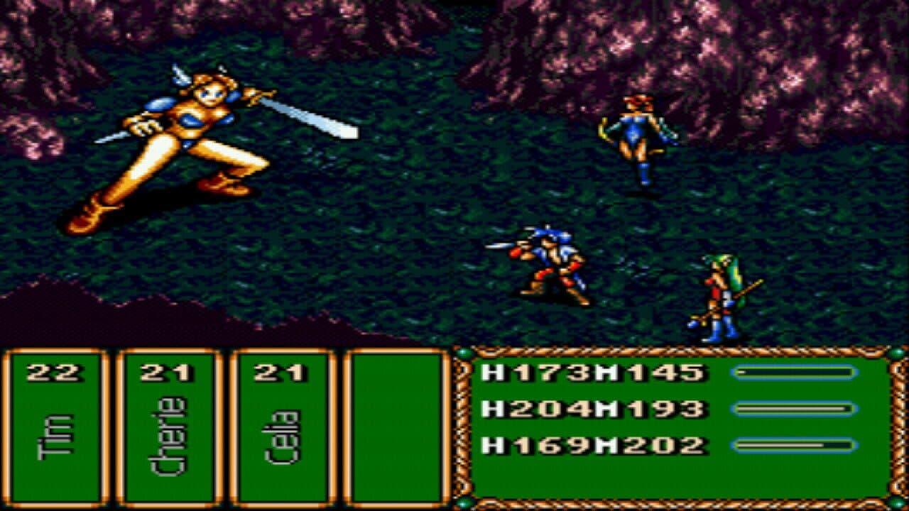 Brave Battle Saga: Legend of the Magic Warrior thumbnail 4