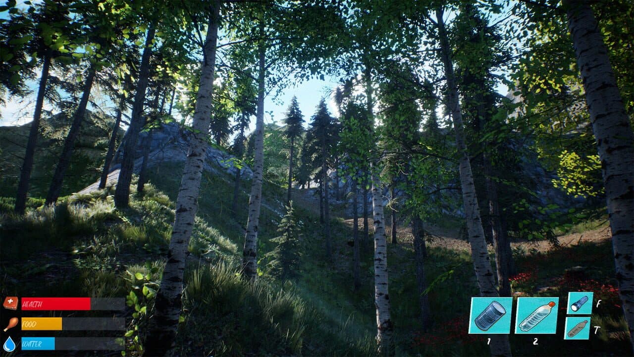Soul Valley thumbnail 5