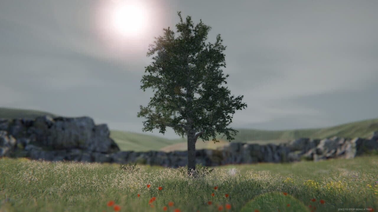 Tree Simulator 2020 thumbnail 4