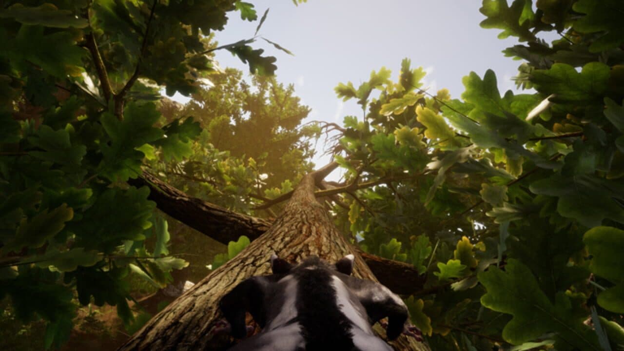 Away: The Survival Series thumbnail 6