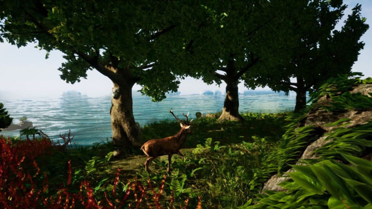 Away: The Survival Series thumbnail 5