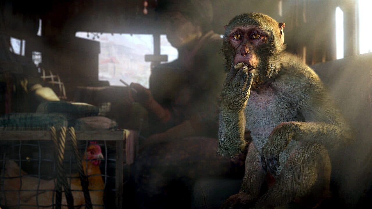 Far Cry 4: Gold Edition thumbnail 2