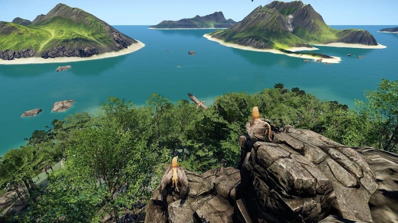 Wander thumbnail 4