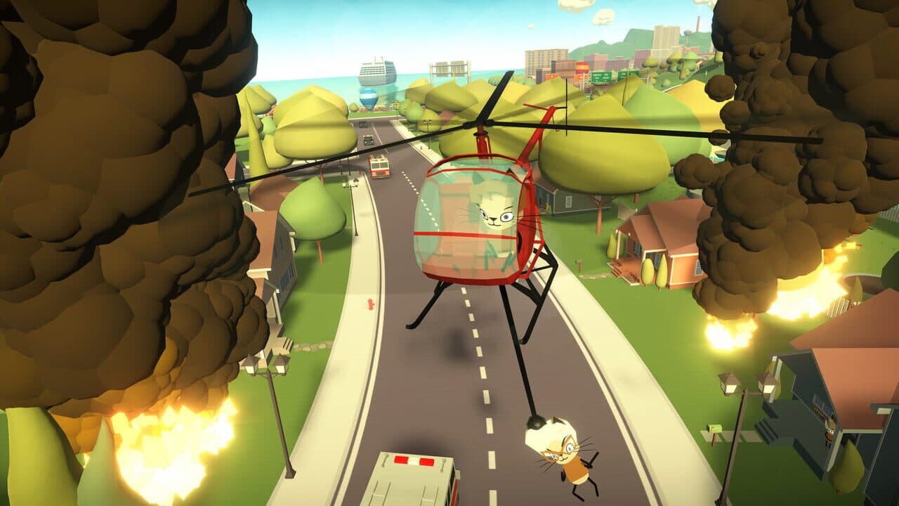 Cats Fly Helicopters thumbnail 2