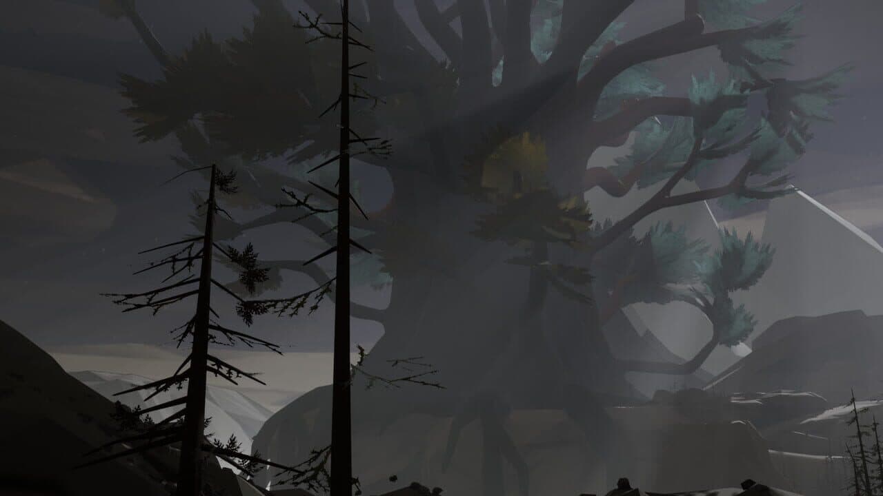Shores Unknown thumbnail 3