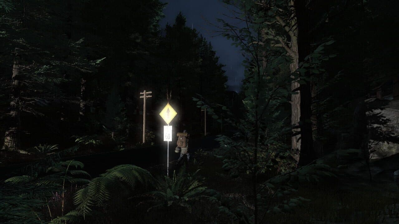 Pineview Drive - Homeless thumbnail 6