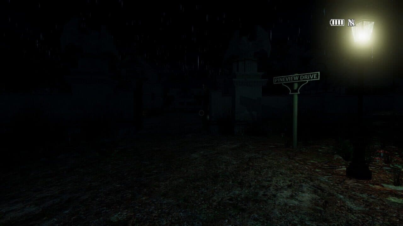 Pineview Drive - Homeless thumbnail 8