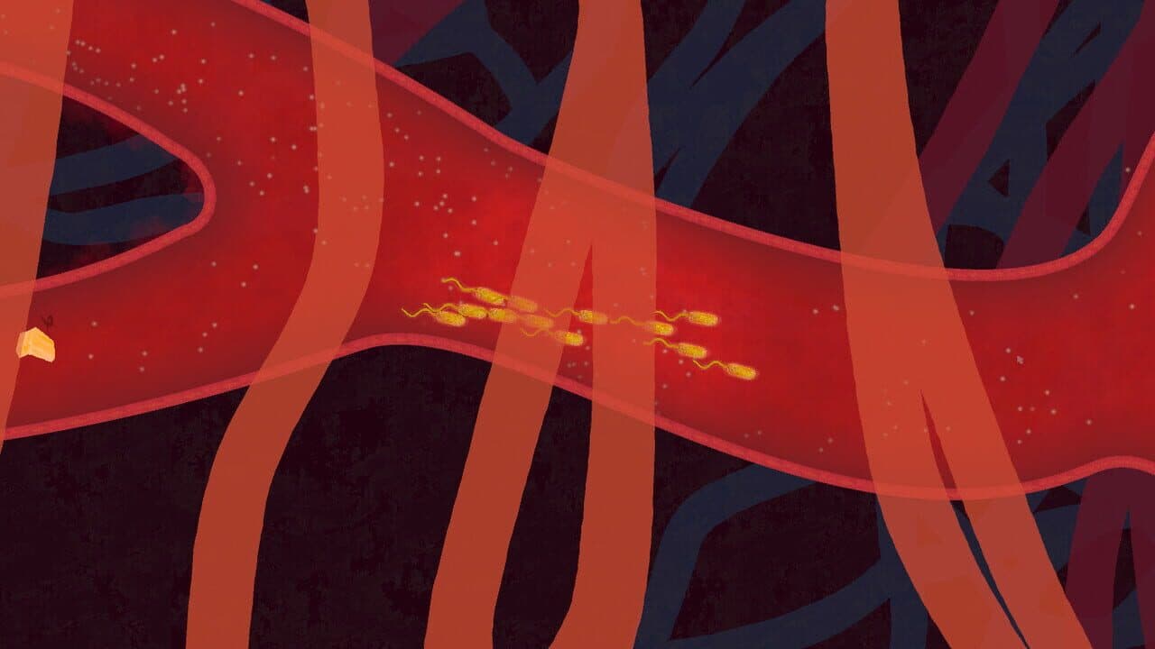 Biorhythm thumbnail 5