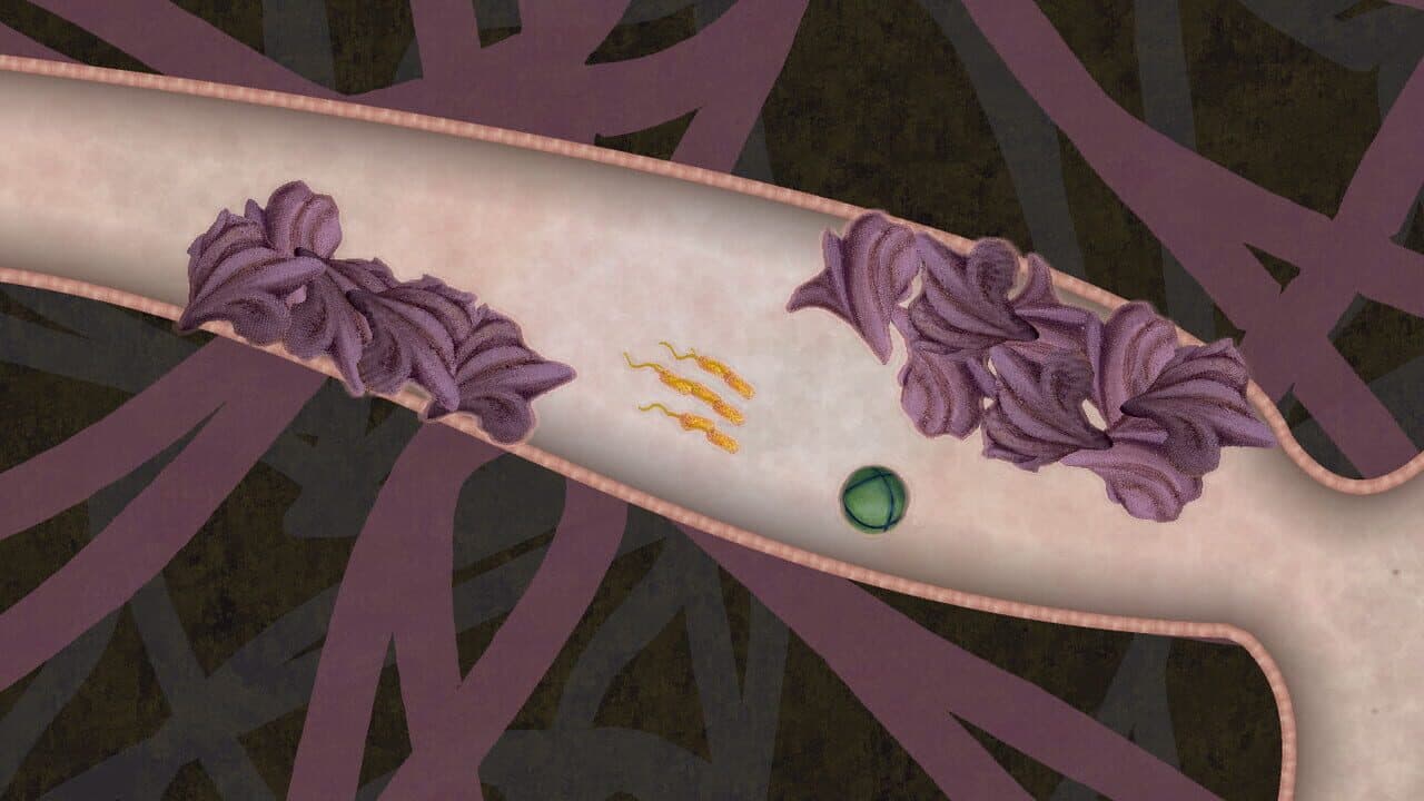 Biorhythm thumbnail 6